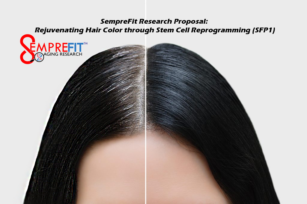 Research Proposal: Rejuvenating Hair Color through Stem Cell Reprogramming (SFP1) – SempreFit